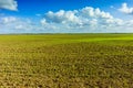 Green Agricultural Farm Field with Blue Sky and White Clouds in the Background,ÃÂ Grassland,ÃÂ Country Meadow Landscape,ÃÂ .World Royalty Free Stock Photo
